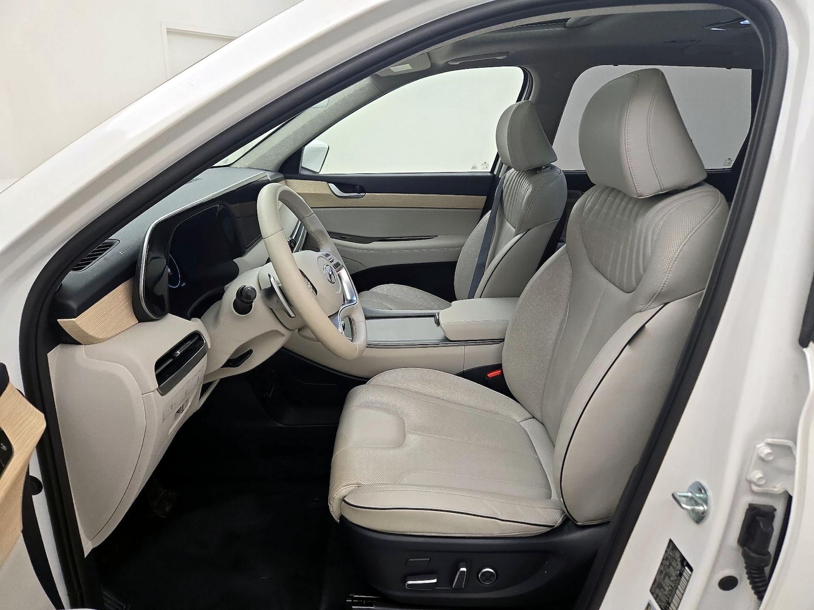 2023 Hyundai Palisade Limited - Photo 12