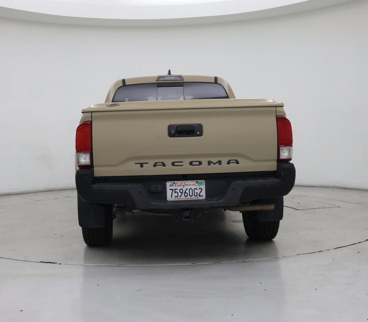 Rear