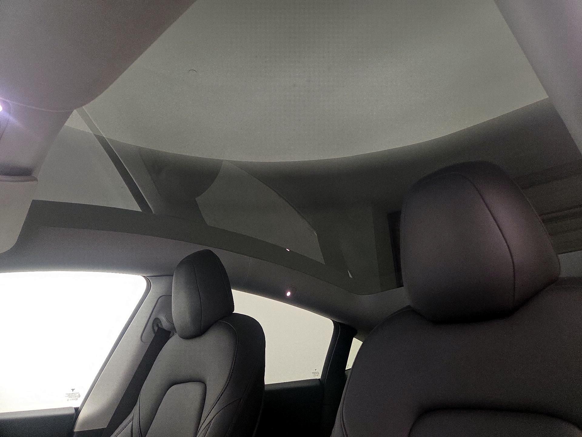 Thumbnail: 2021 Tesla Model Y - 20