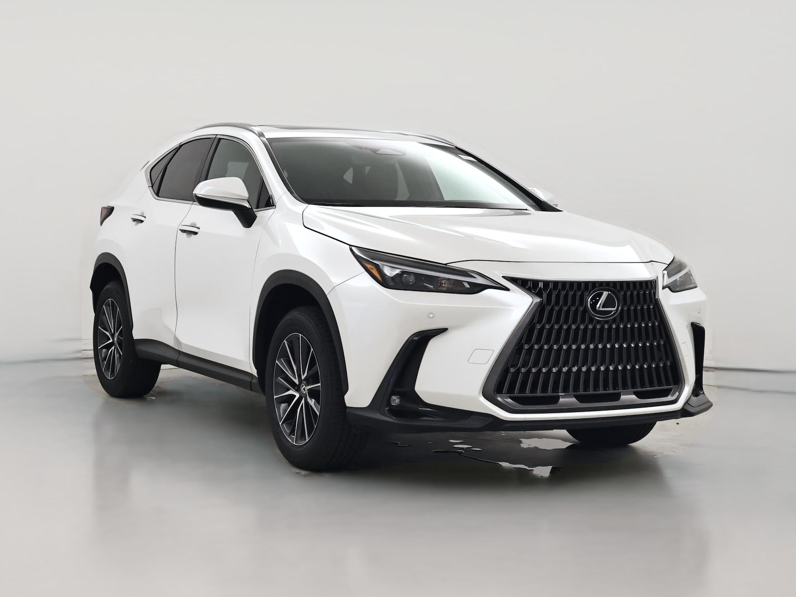 2024 Lexus NX
