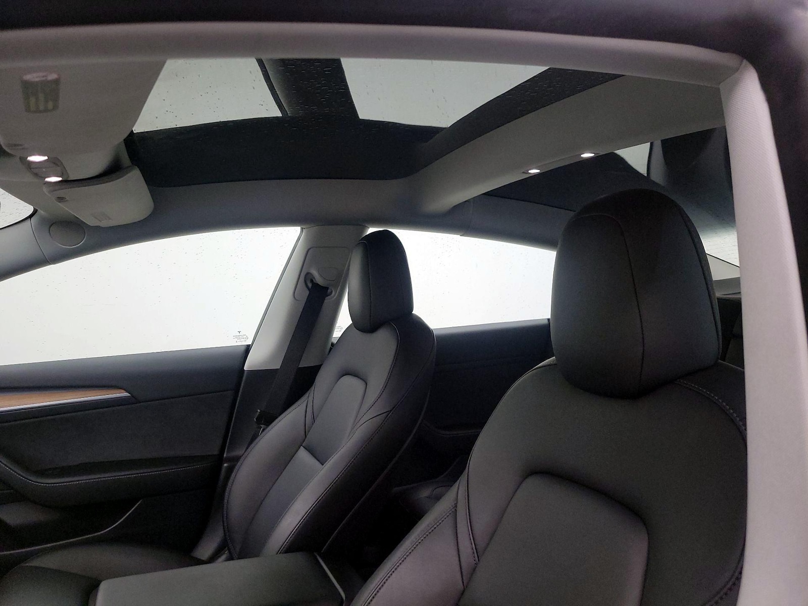 2021 Tesla Model 3 Base - Photo 19