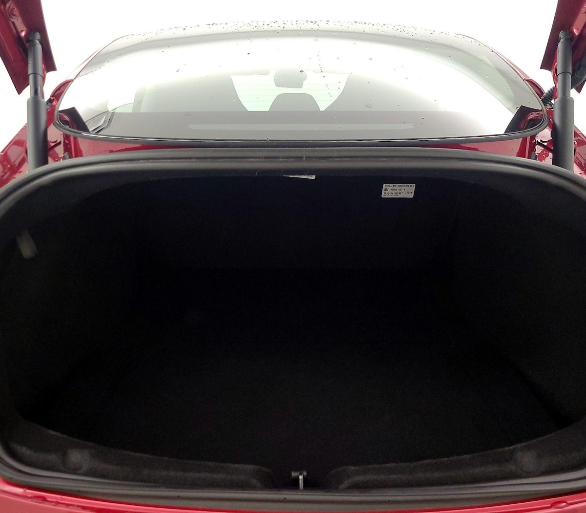 Trunk/Cargo (Seats Up)