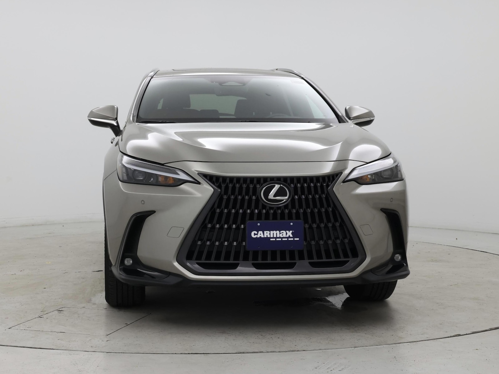 2022 Lexus NX 350 - Photo 6