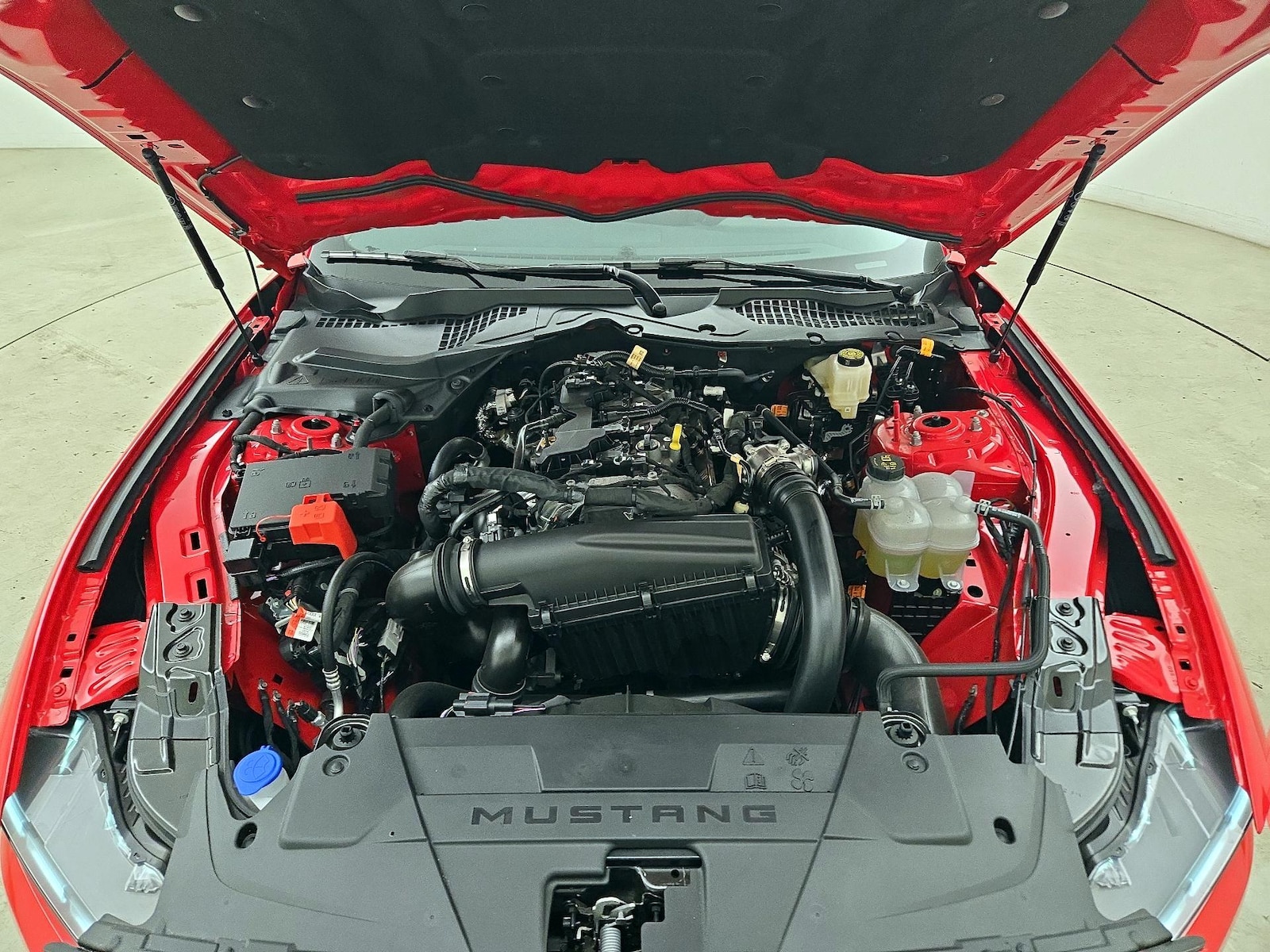2025 Ford Mustang EcoBoost - Photo 19