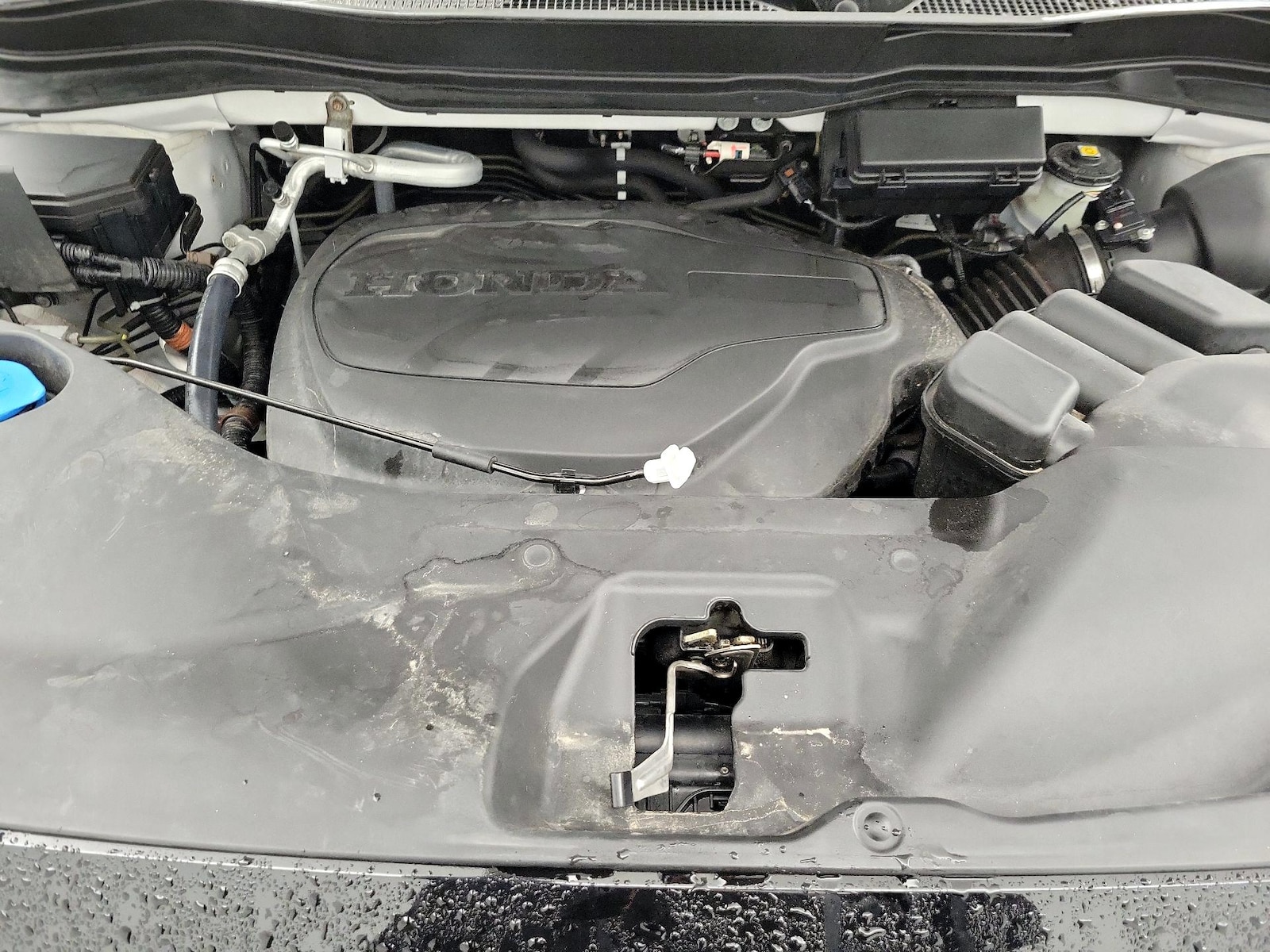 2023 Honda Passport TrailSport - Photo 15