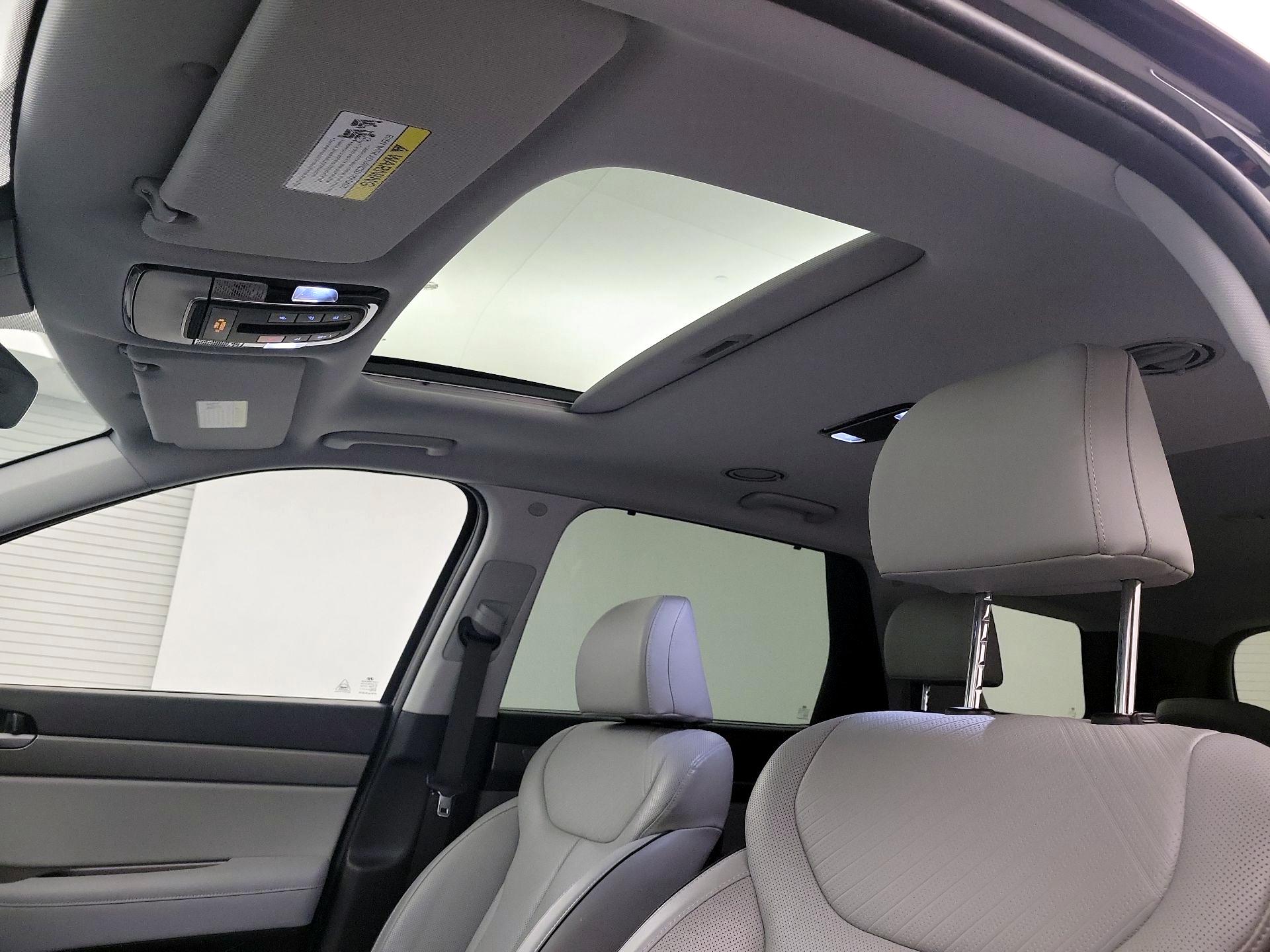 Thumbnail: 2024 Hyundai Palisade - 18