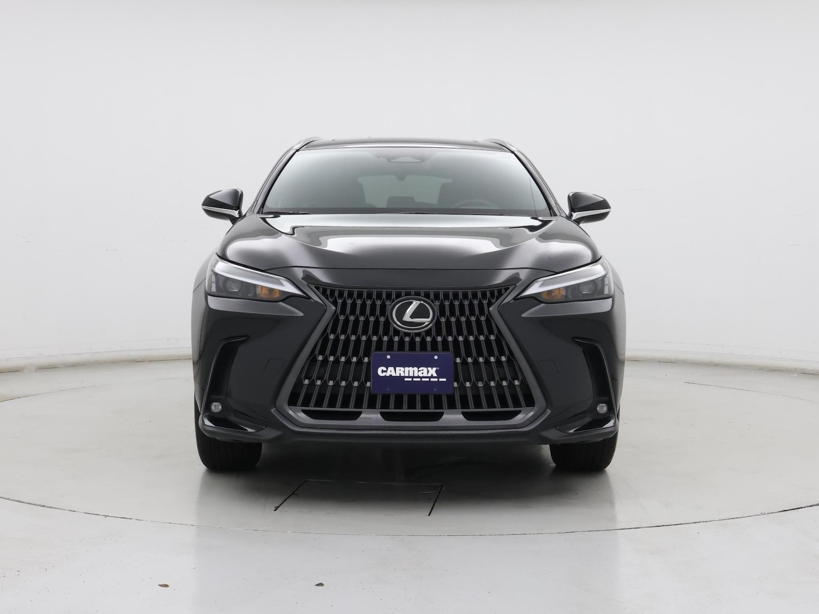 2024 Lexus NX 350 - Photo 6