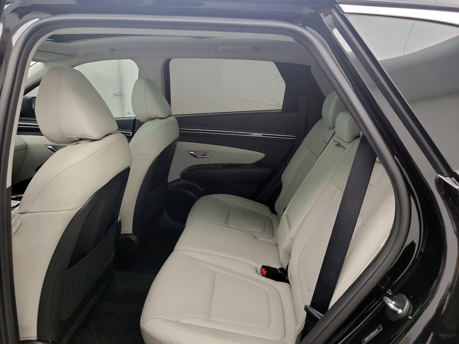 Rear Seat Heaters
