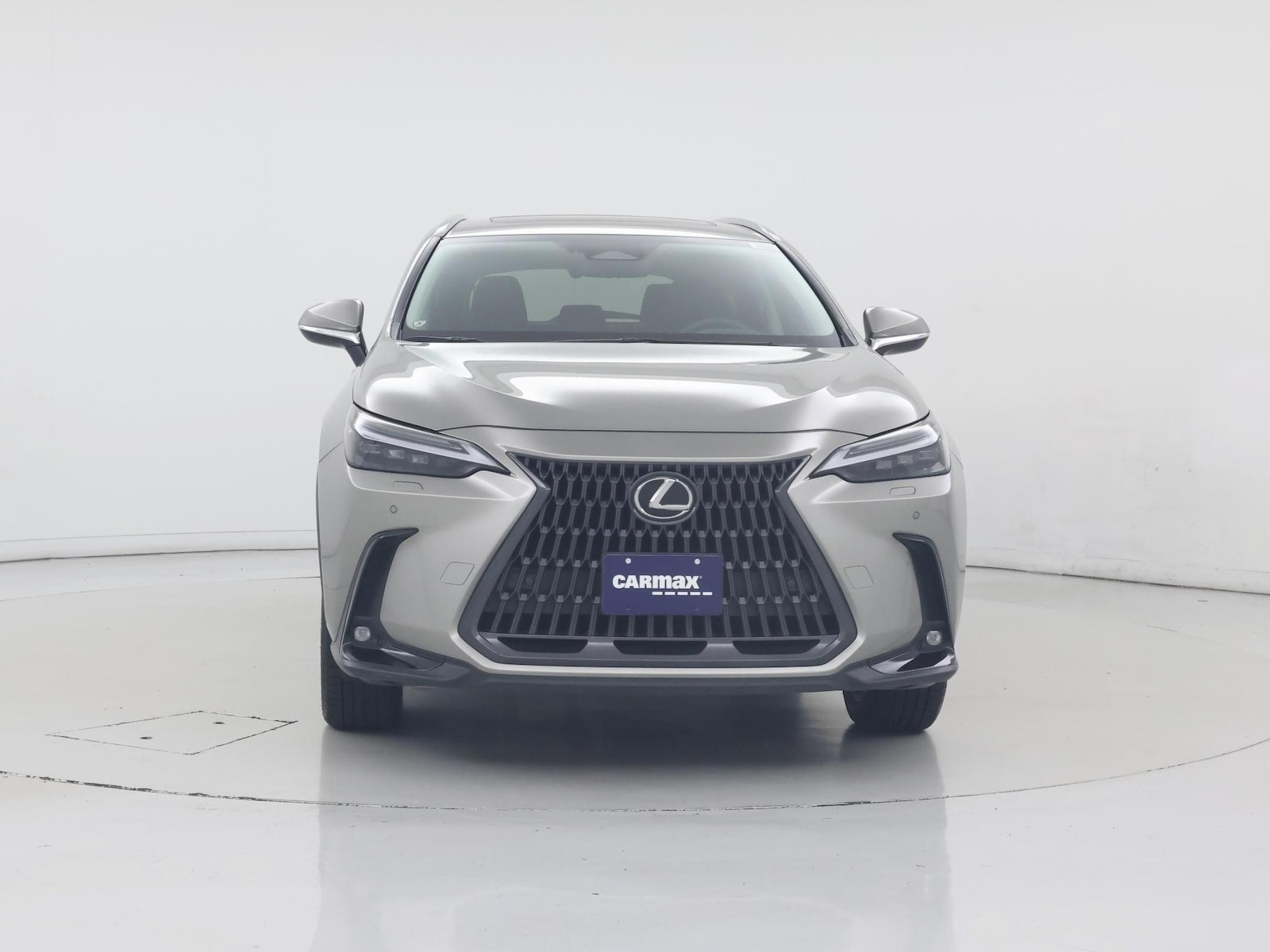 2023 Lexus NX 350 - Photo 6