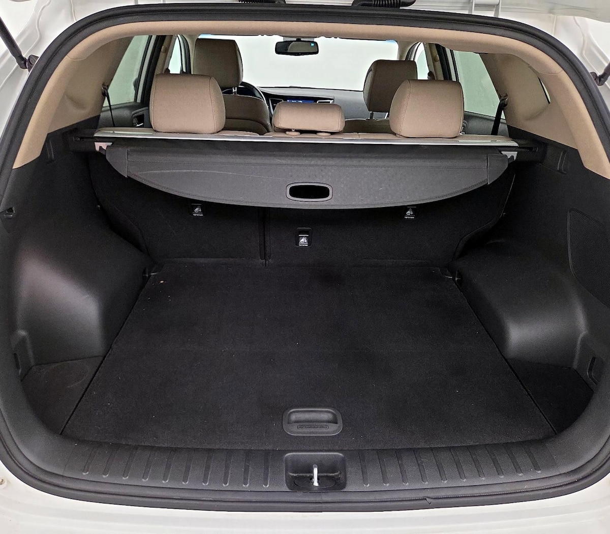 Trunk/Cargo (Seats Up)