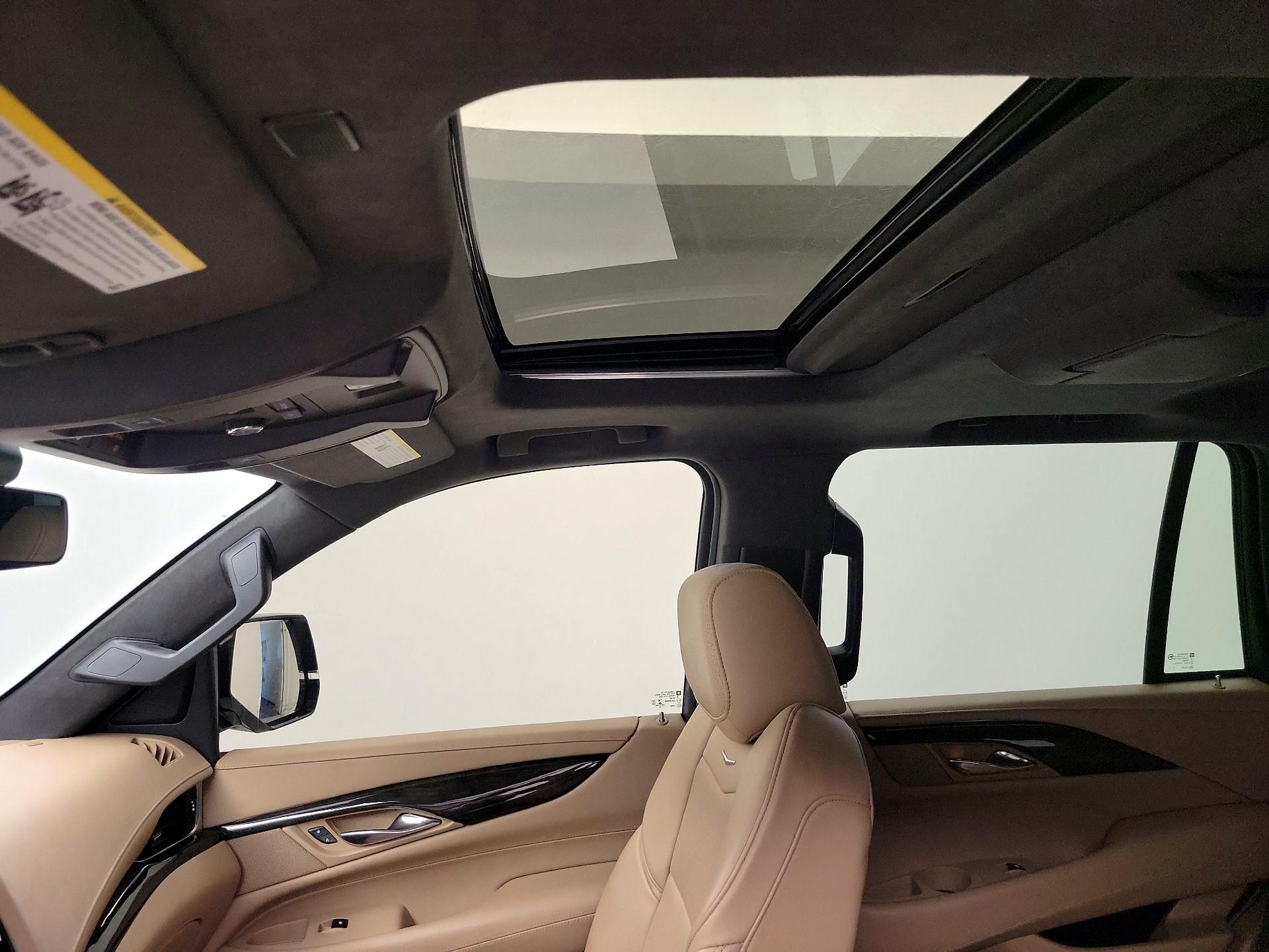 Thumbnail: 2020 Cadillac Escalade - 19