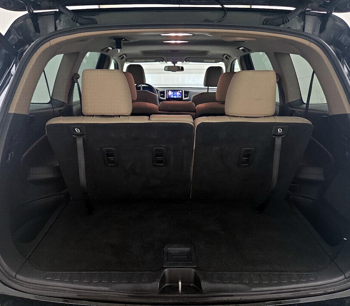 Trunk/Cargo (Seats Up)