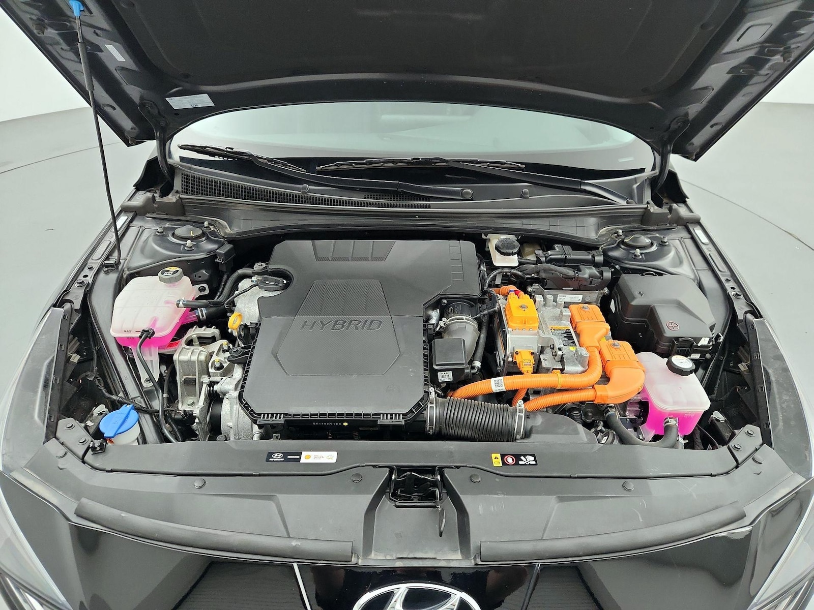 2023 Hyundai Elantra Limited - Photo 24