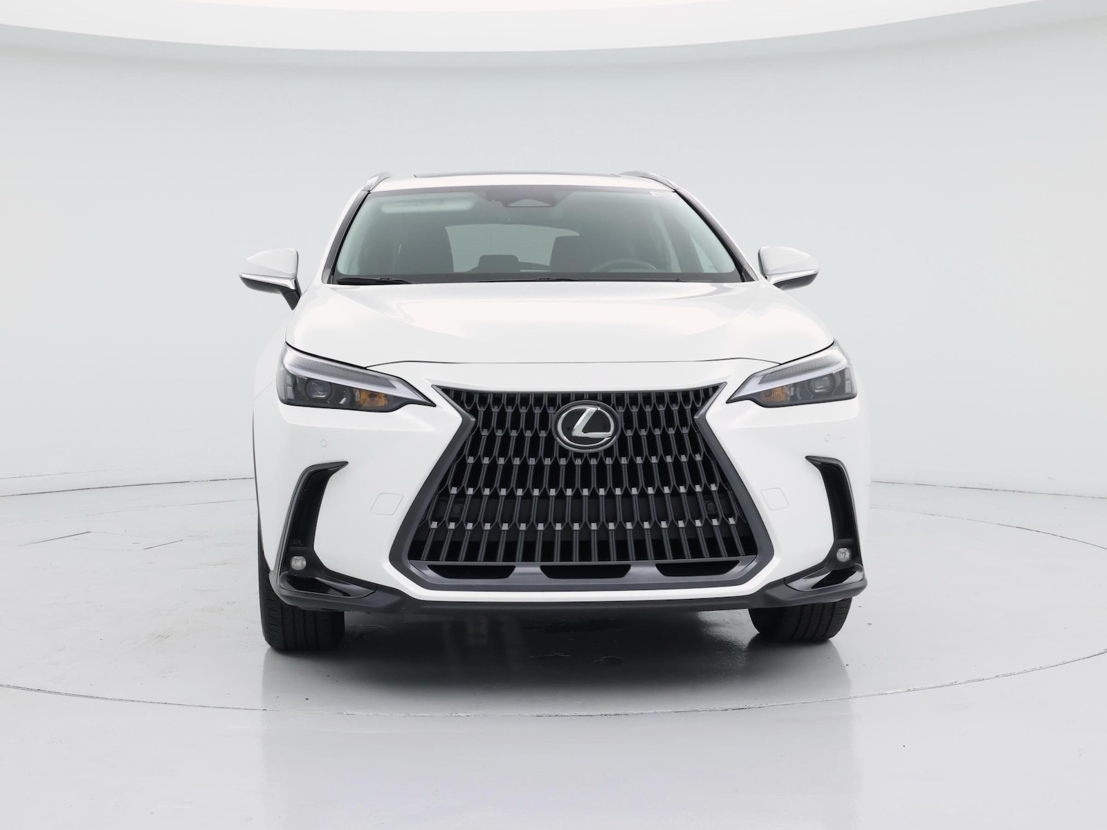 2025 Lexus NX 250 - Photo 6