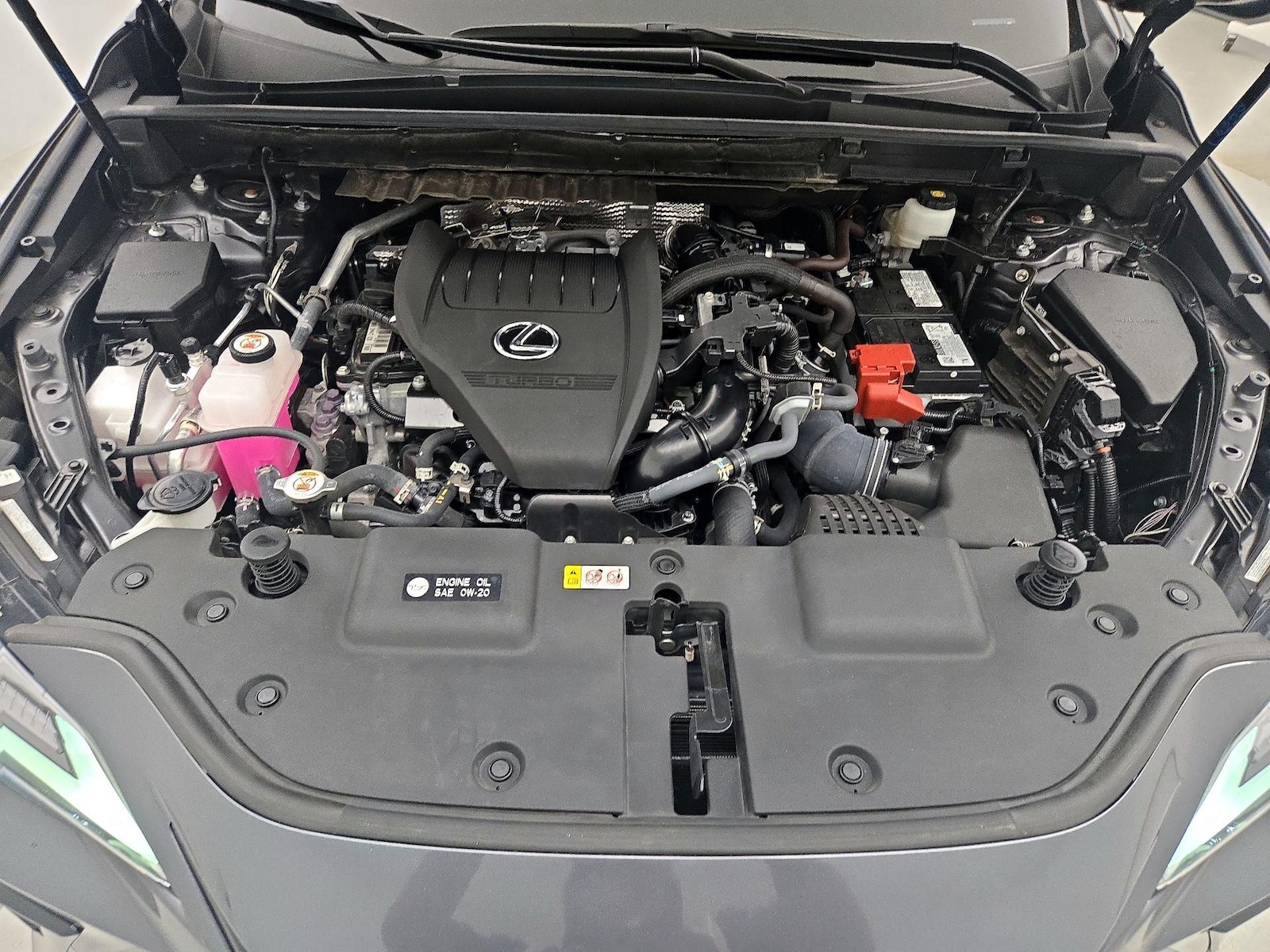 2025 Lexus NX 350 - Photo 24