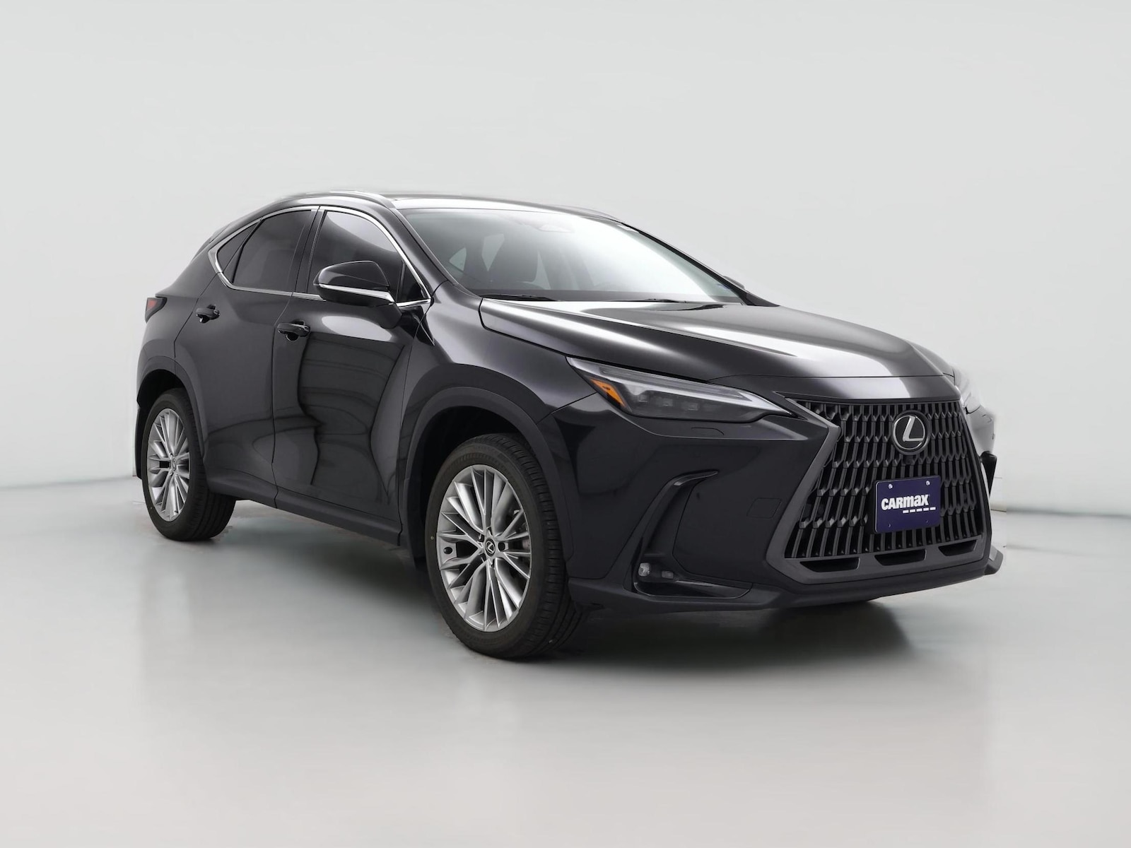 2024 Lexus NX