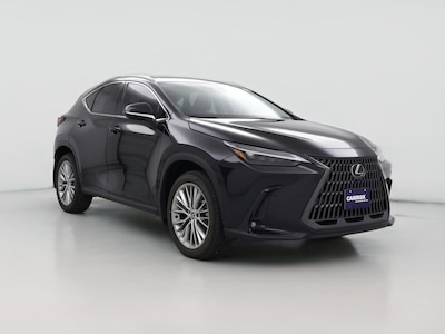 2024 Lexus NX 350 Luxury