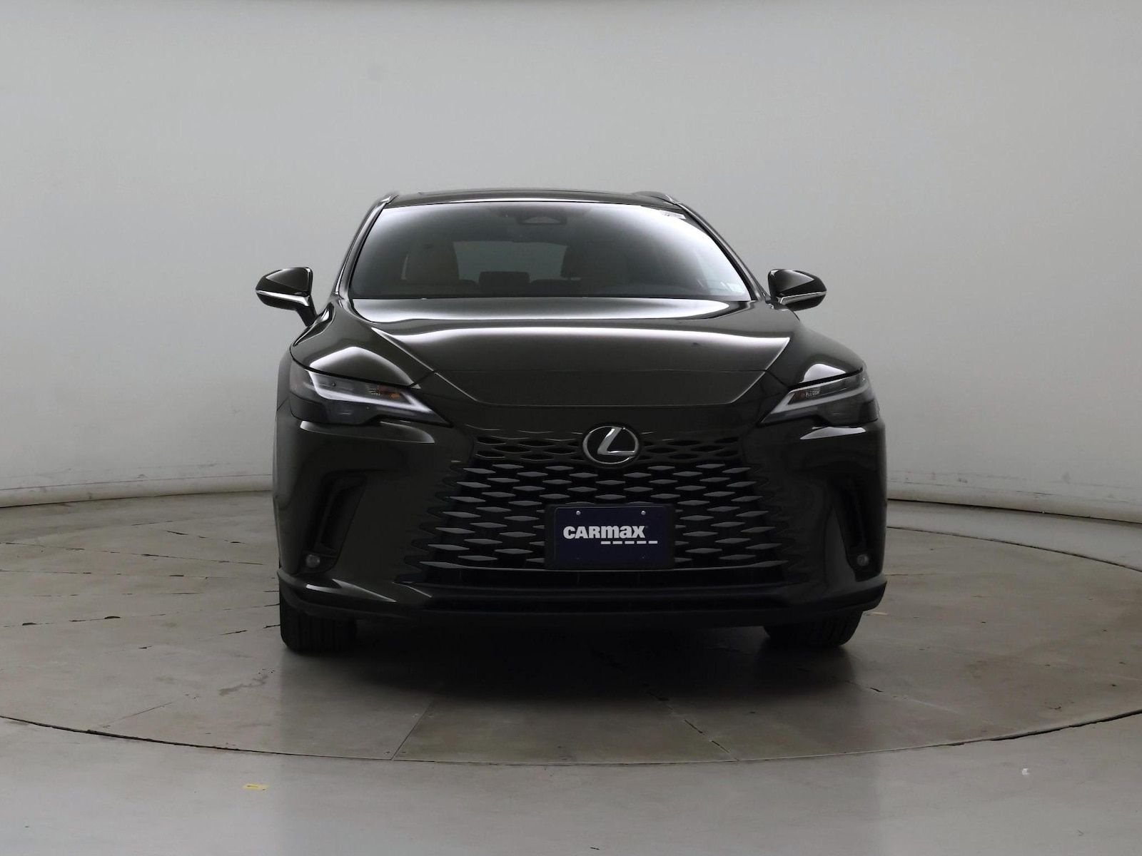 2024 Lexus RX 350 - Photo 6