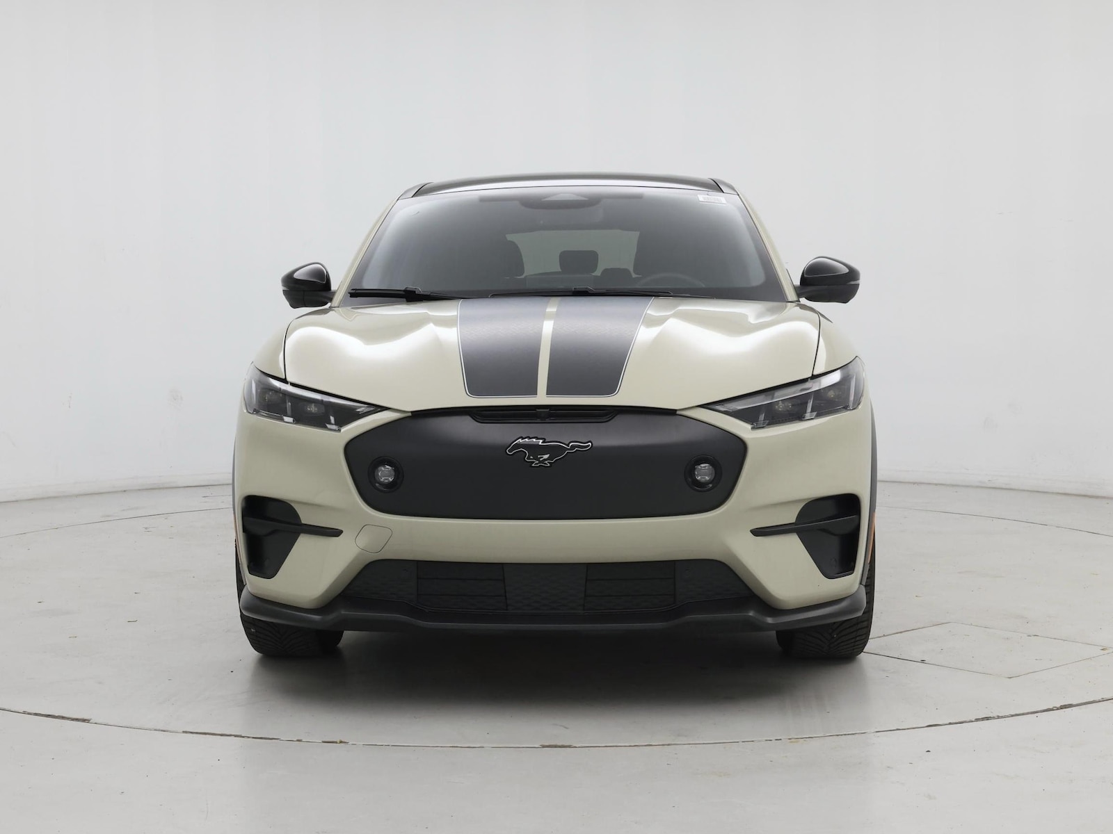 2025 Ford Mustang Mach-E GT AWD - Photo 6