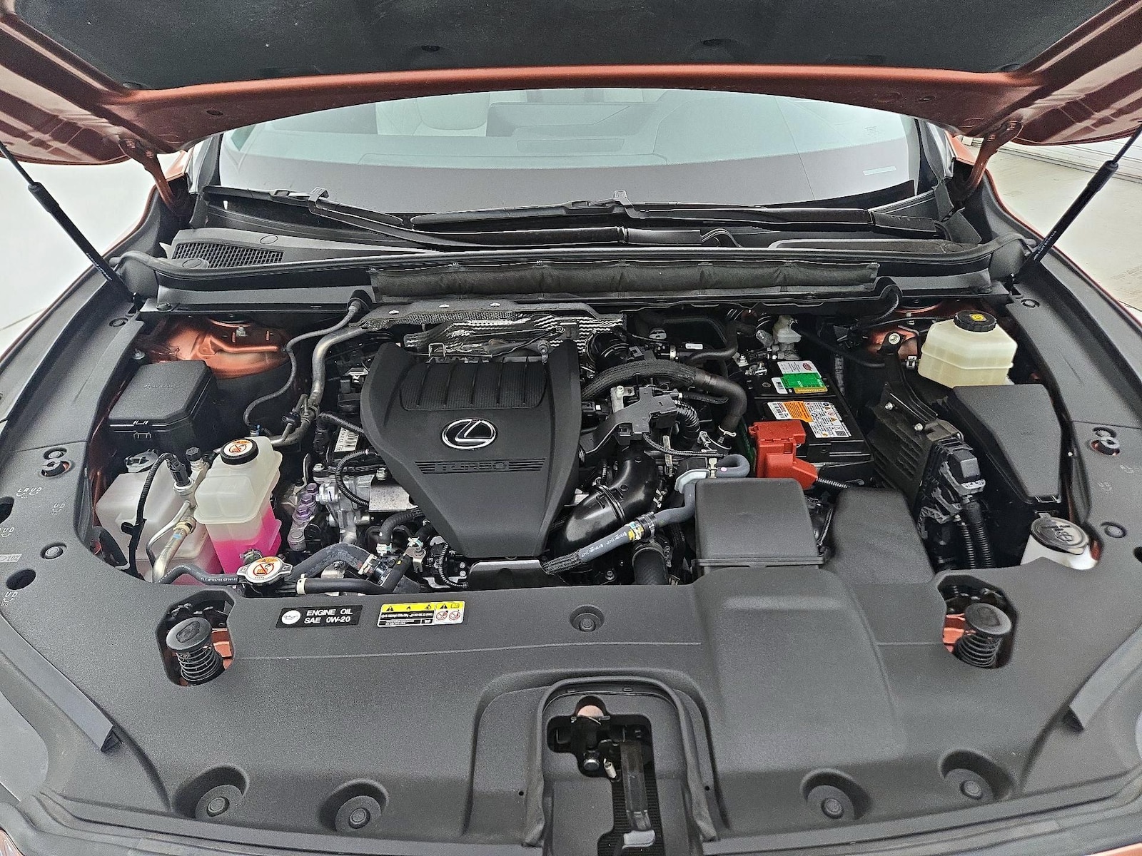 Photo 23