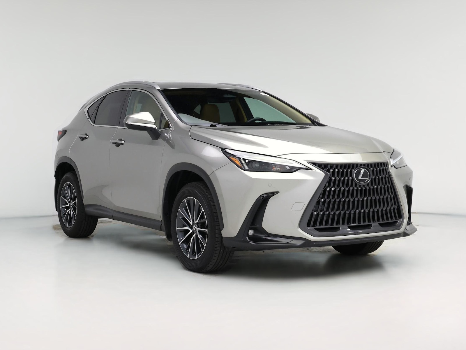 2025 Lexus NX