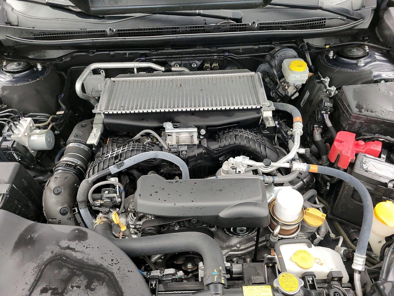2024 Subaru Outback Wilderness - Photo 24