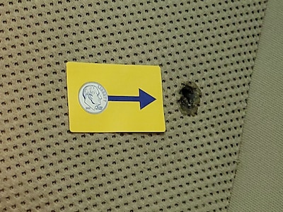Condition detail
