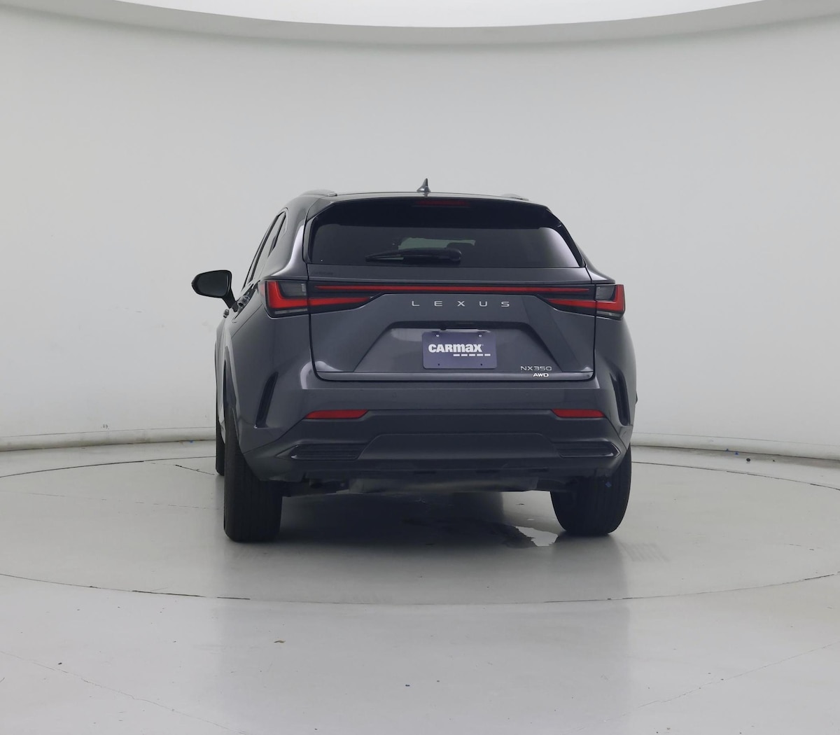 Rear