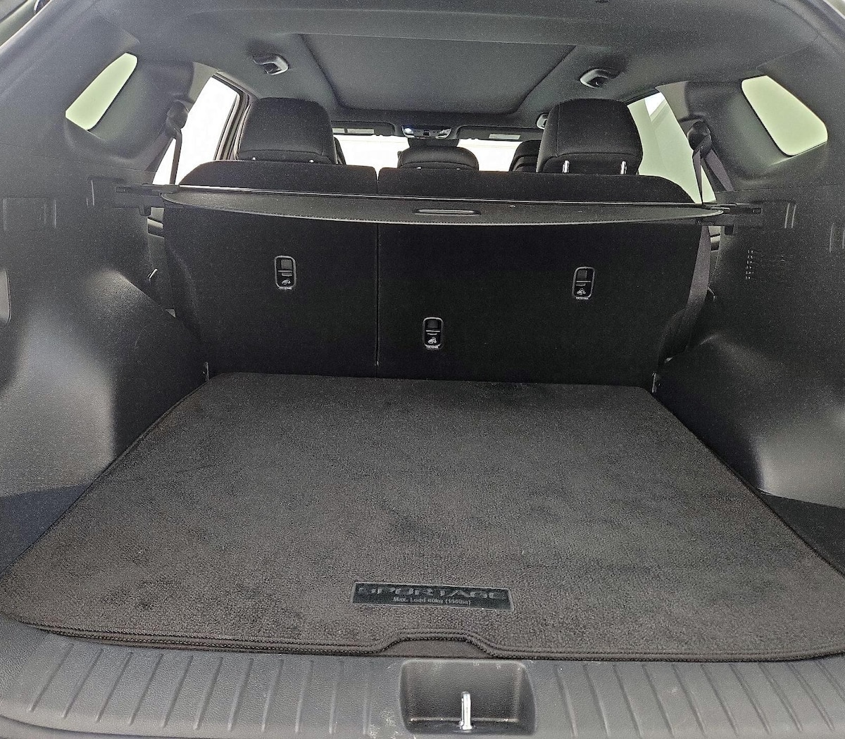 Trunk/Cargo (Seats Up)