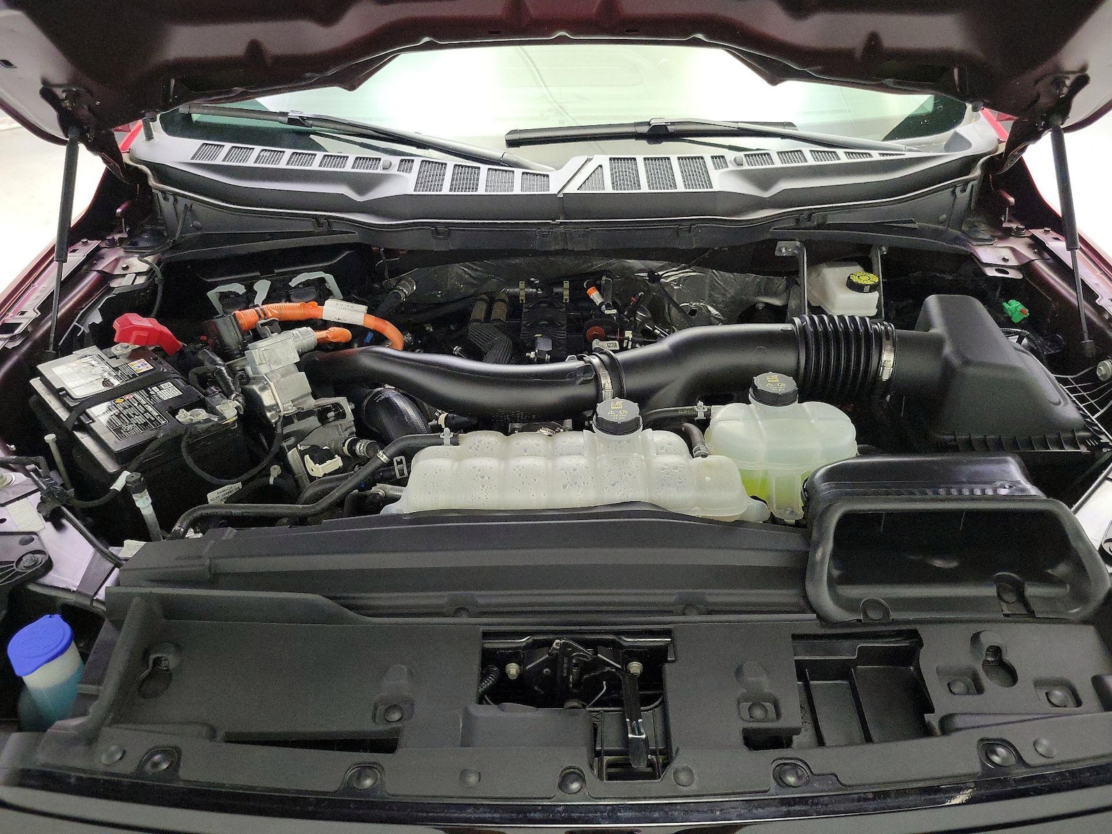2025 Ford F-150 XLT - Photo 22