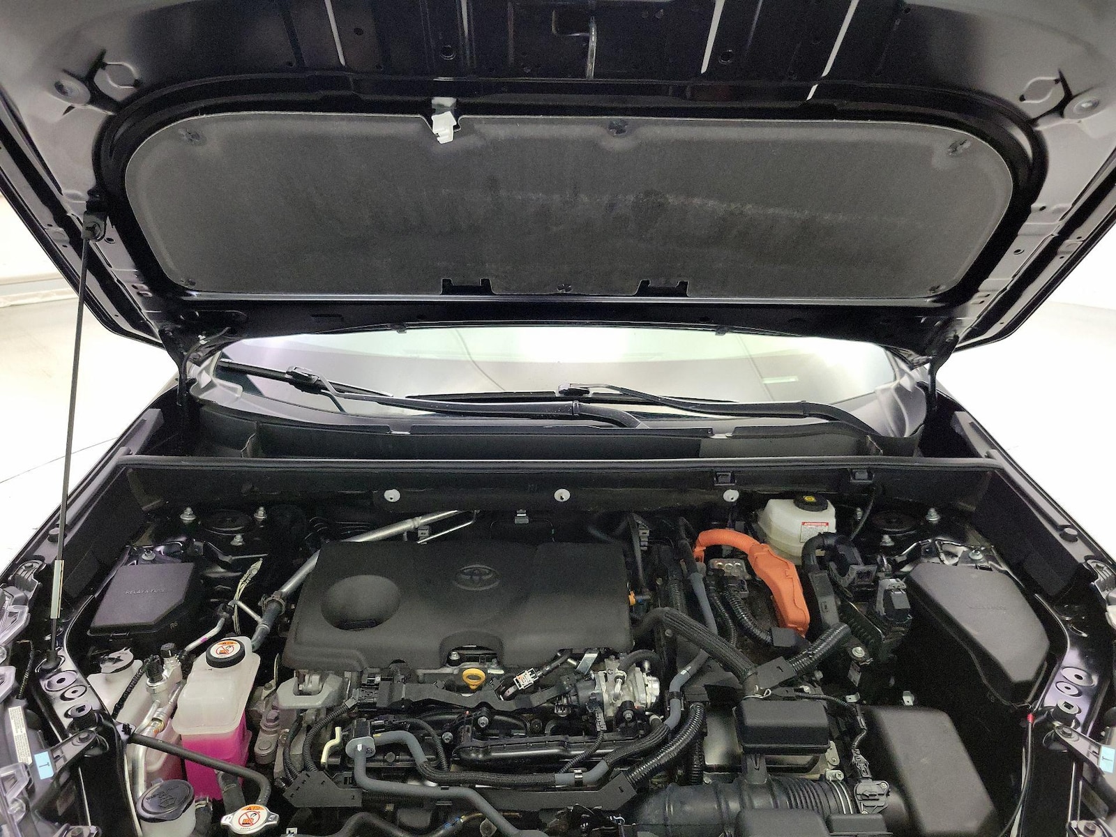 2025 Toyota RAV4 XLE - Photo 22