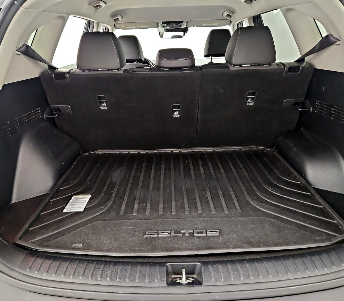 Trunk/Cargo (Seats Up)