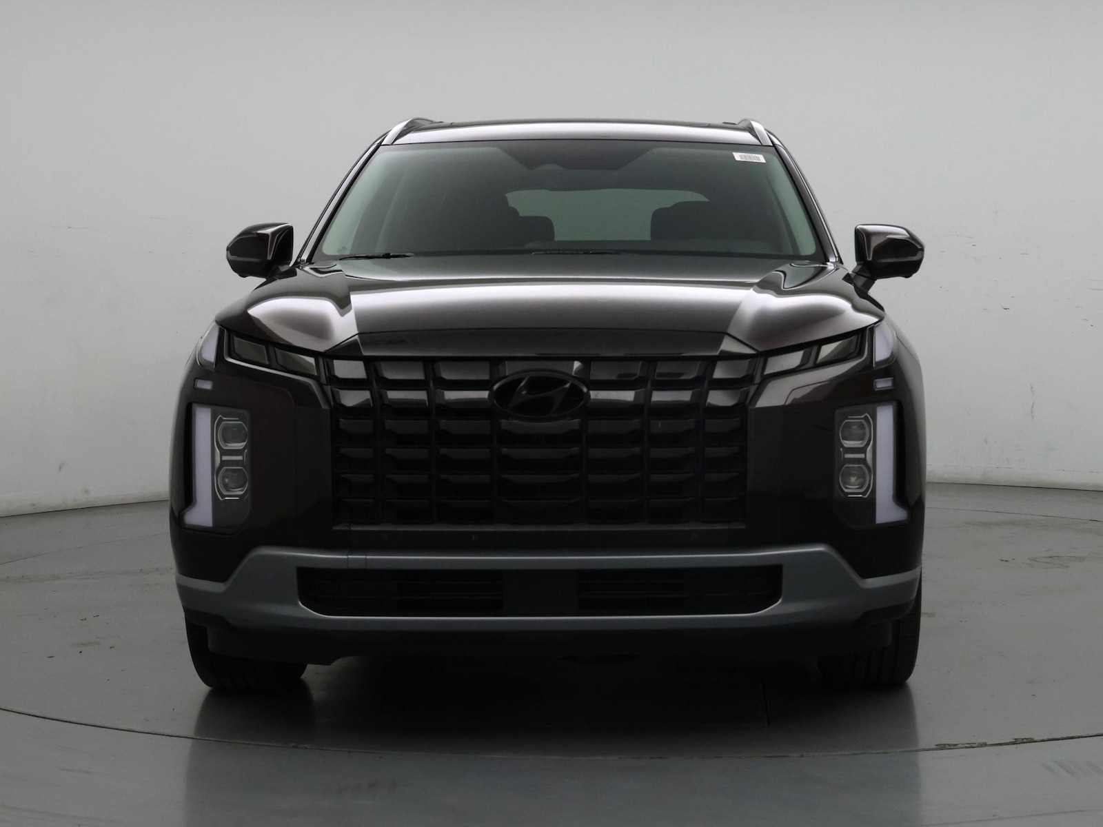 2024 Hyundai Palisade Limited - Photo 6
