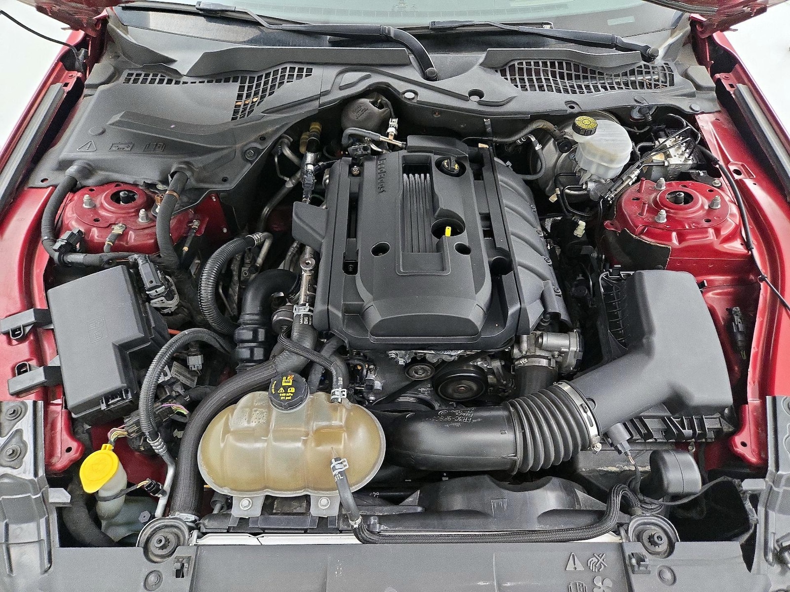 2019 Ford Mustang EcoBoost - Photo 23