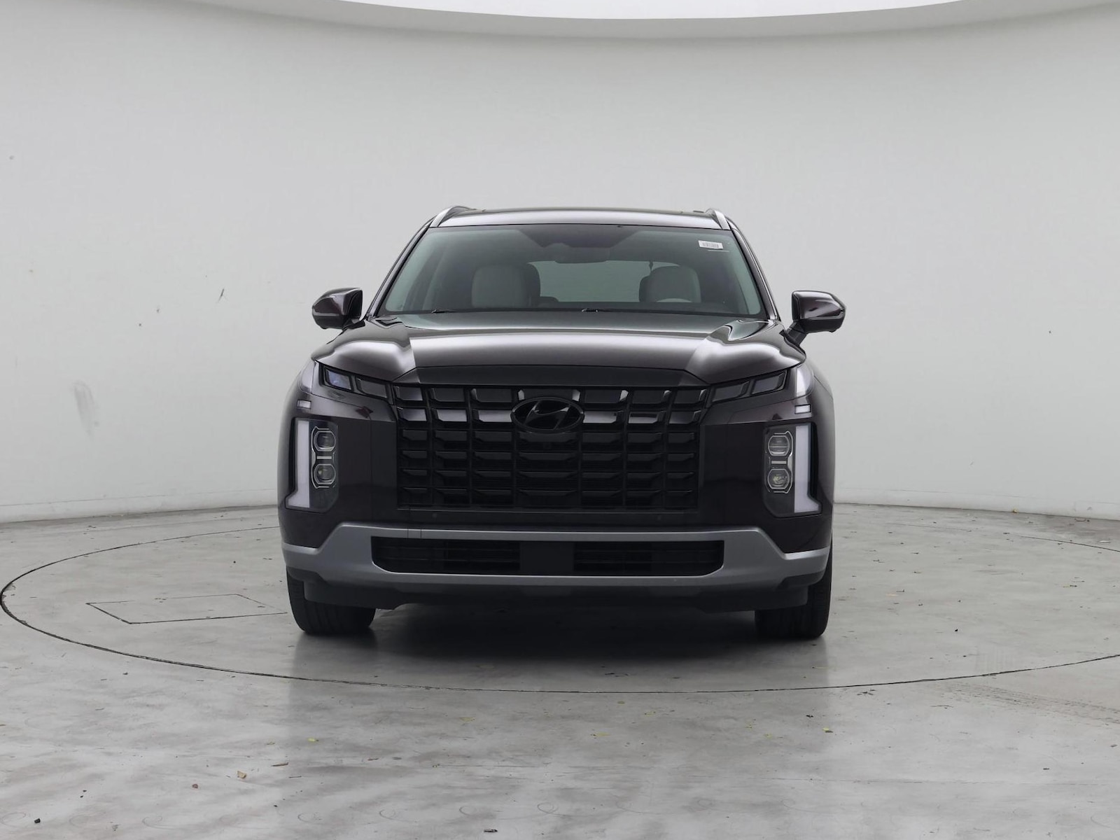 2024 Hyundai Palisade Limited - Photo 6