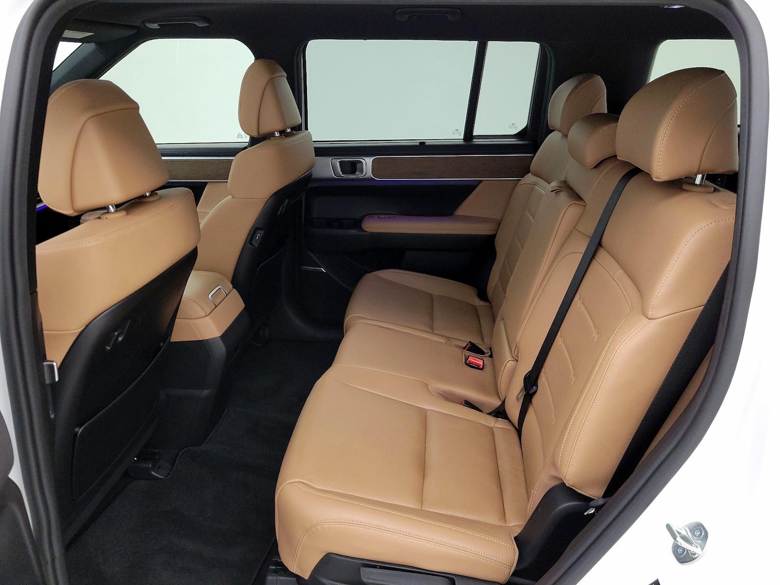 Rear Seat Heaters