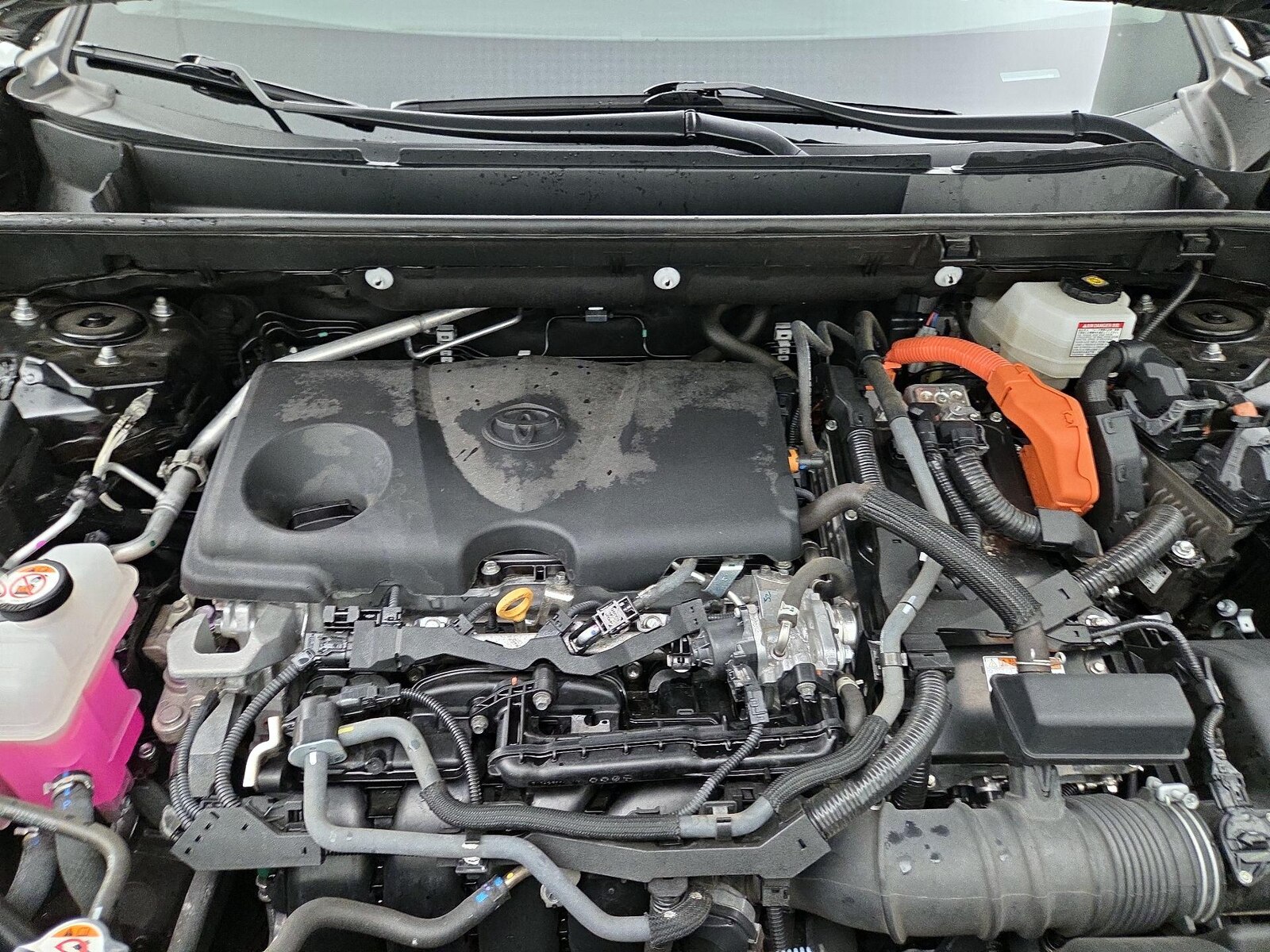 2024 Toyota RAV4 XLE - Photo 23