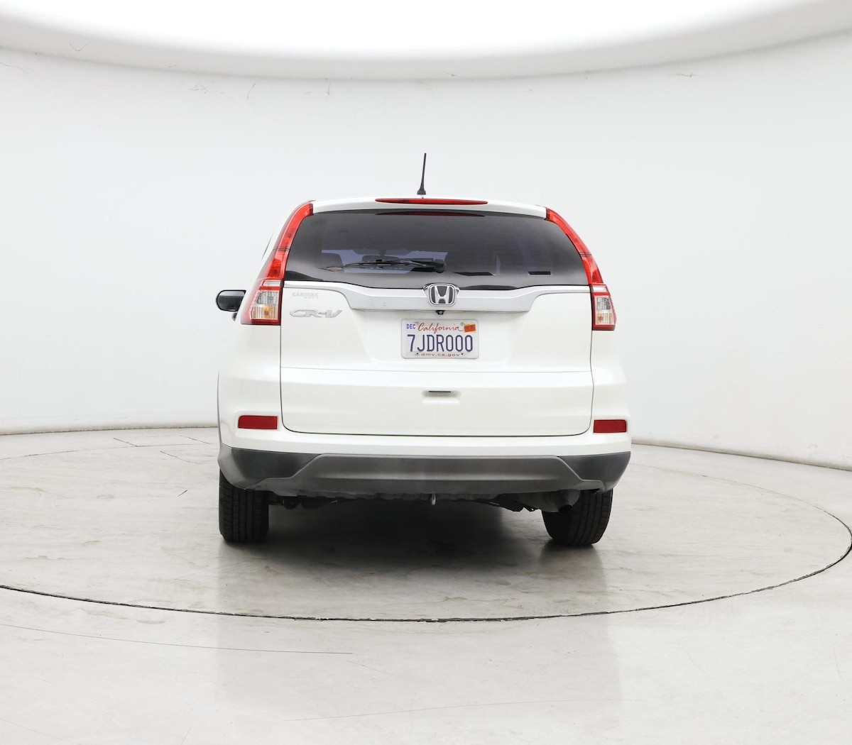 Rear