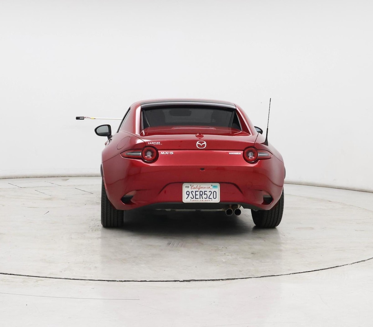 Rear