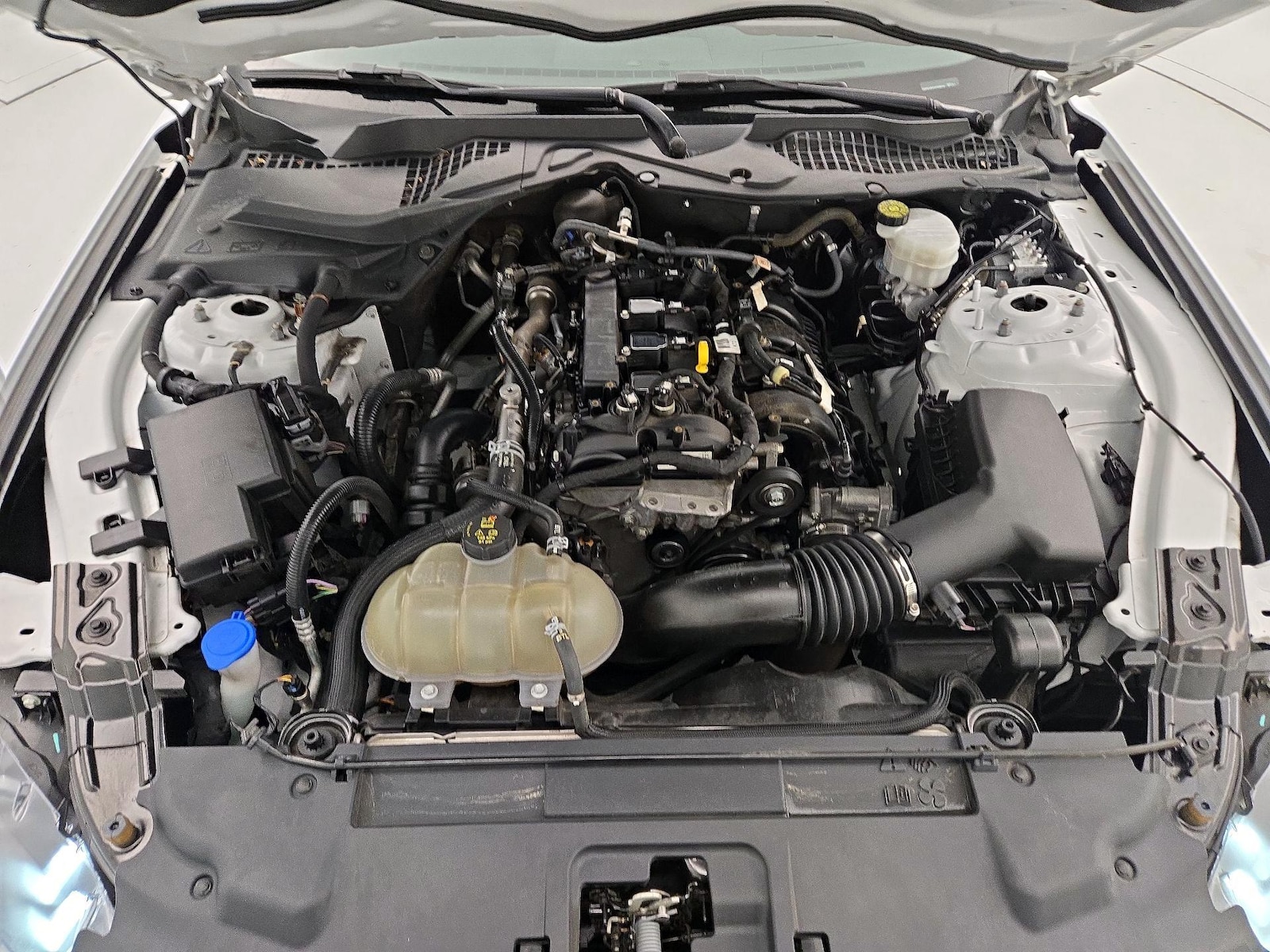 2023 Ford Mustang EcoBoost Premium - Photo 22