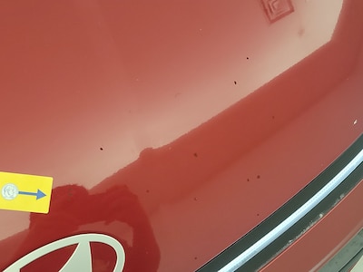 Condition detail