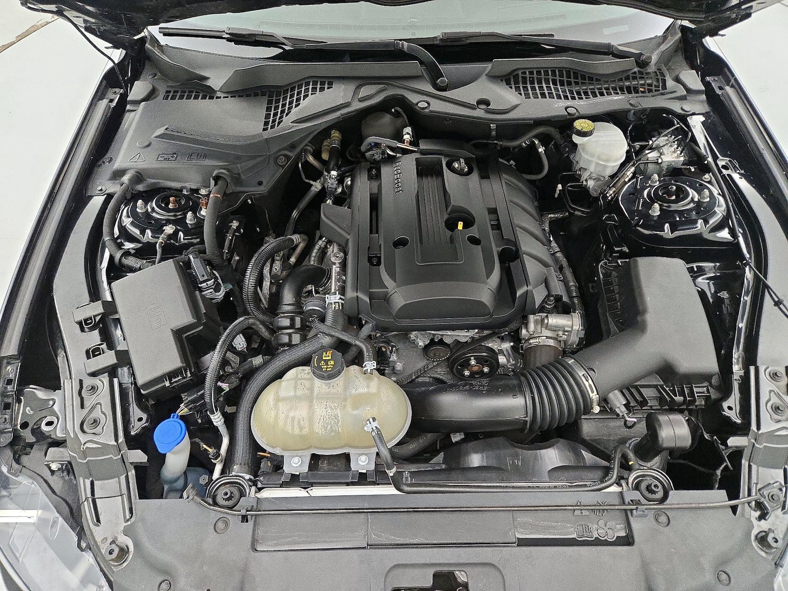 2020 Ford Mustang EcoBoost - Photo 22