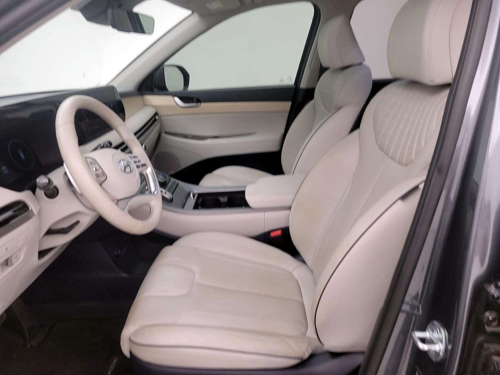 2023 Hyundai Palisade Limited - Photo 12