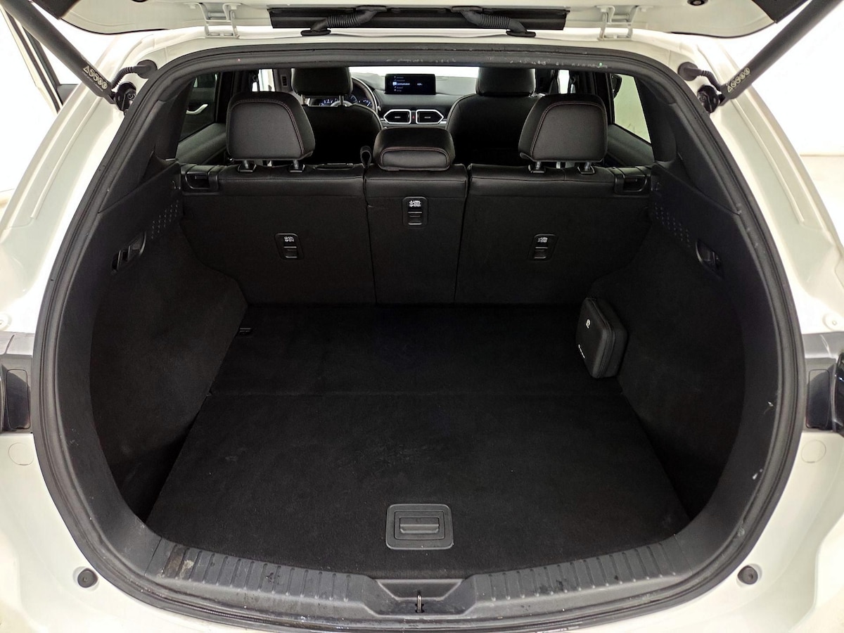 Trunk/Cargo (Seats Up)