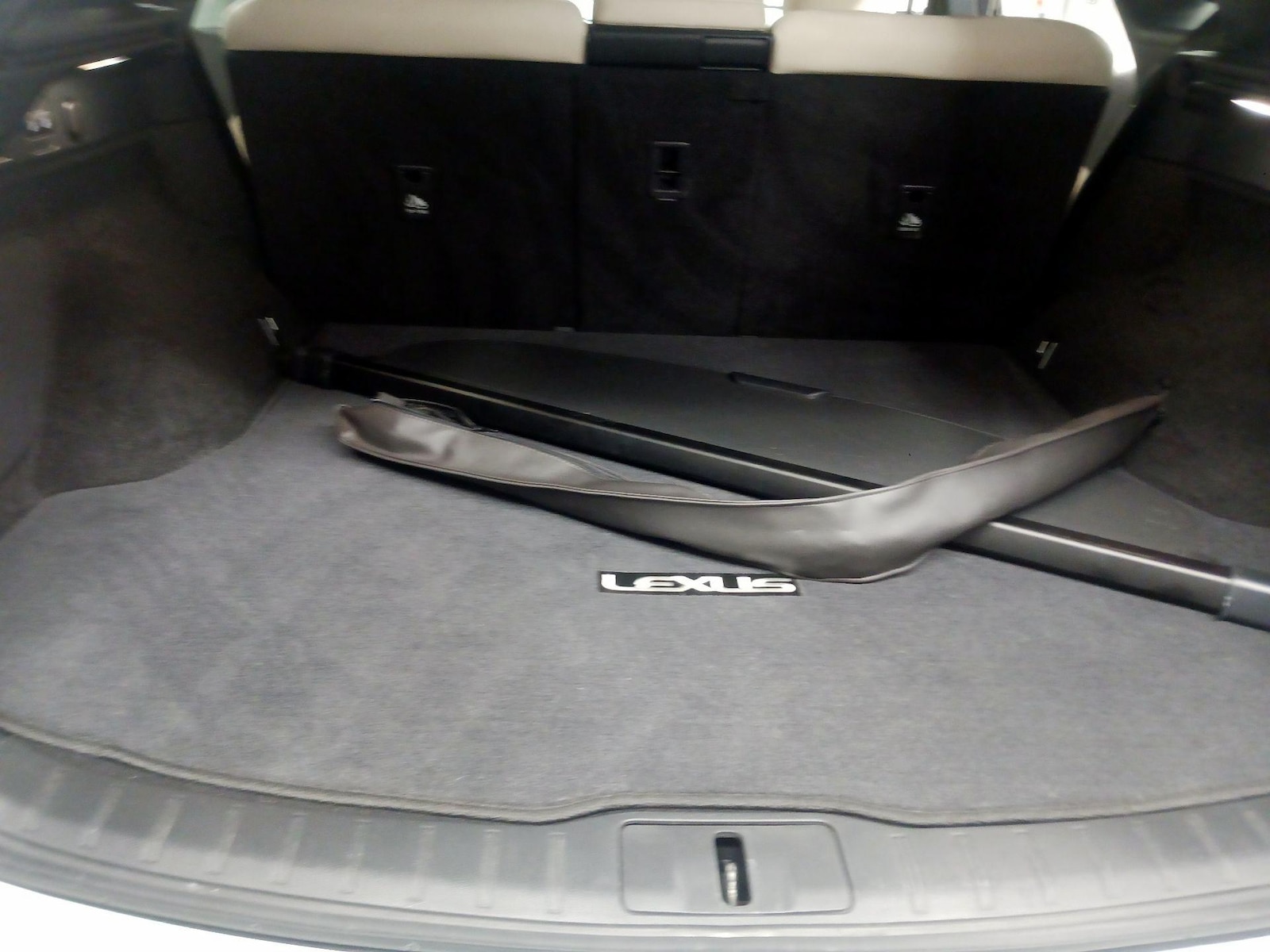 2024 Lexus RX 350 - Photo 17