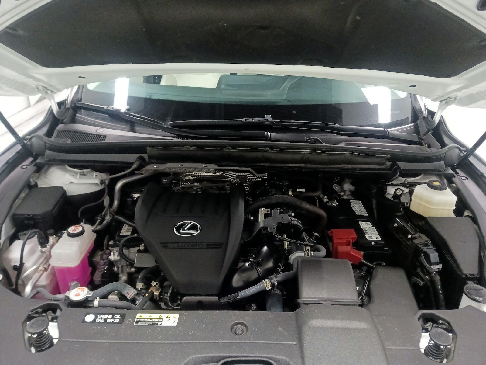 2024 Lexus RX 350 - Photo 18