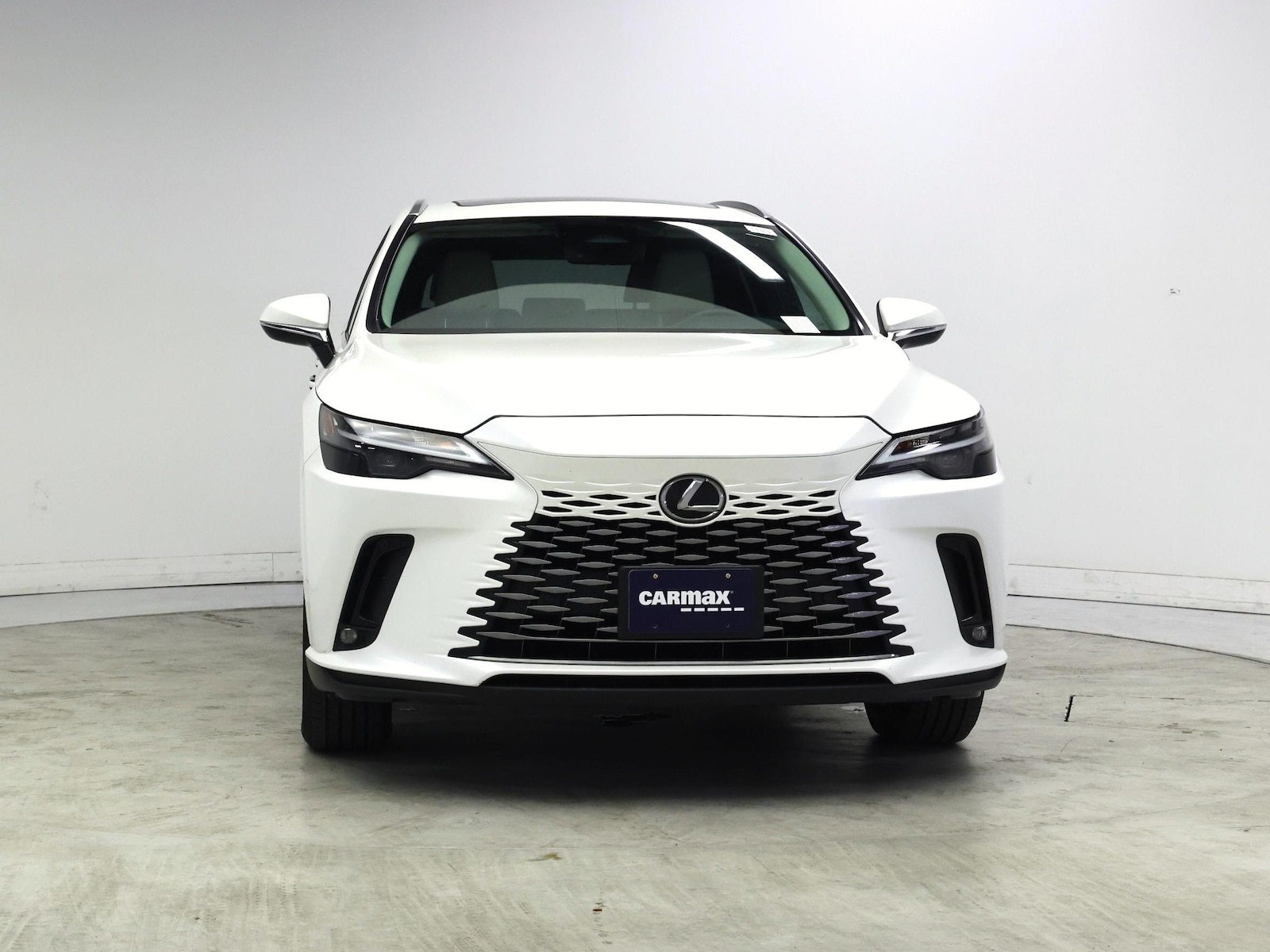 2024 Lexus RX 350 - Photo 6
