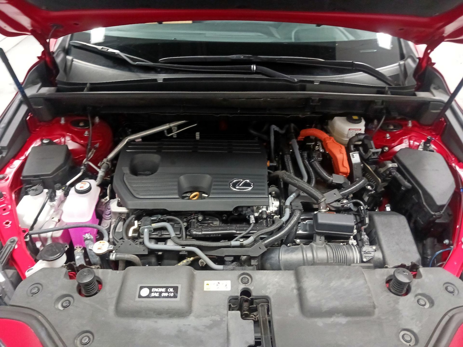 2025 Lexus NX Hybrid 350h - Photo 22