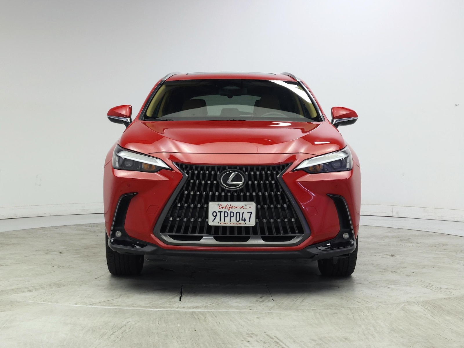 2025 Lexus NX Hybrid 350h - Photo 6