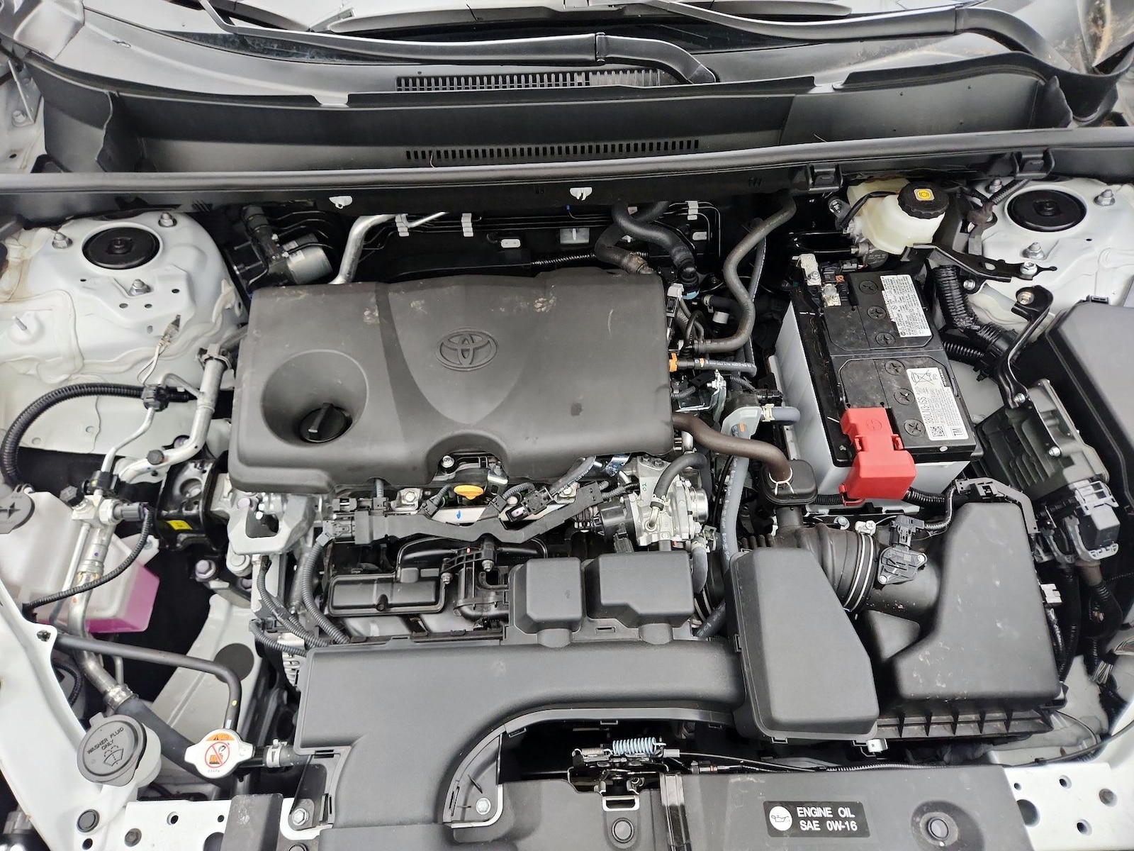 2025 Toyota RAV4 XLE - Photo 23